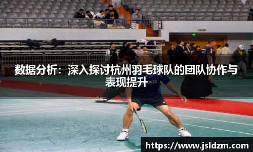 数据分析：深入探讨杭州羽毛球队的团队协作与表现提升