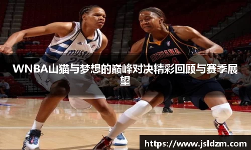 WNBA山猫与梦想的巅峰对决精彩回顾与赛季展望